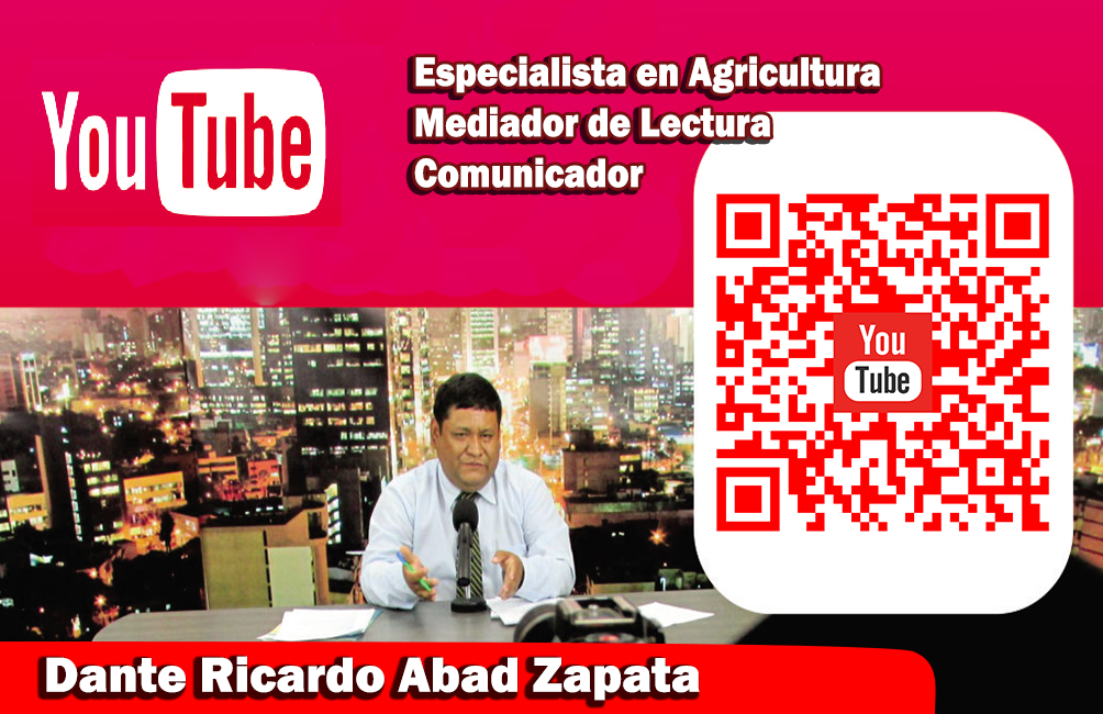 Diseño 1